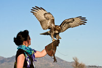 Caroline Smith and Boadicea-Red-tailed Hawk